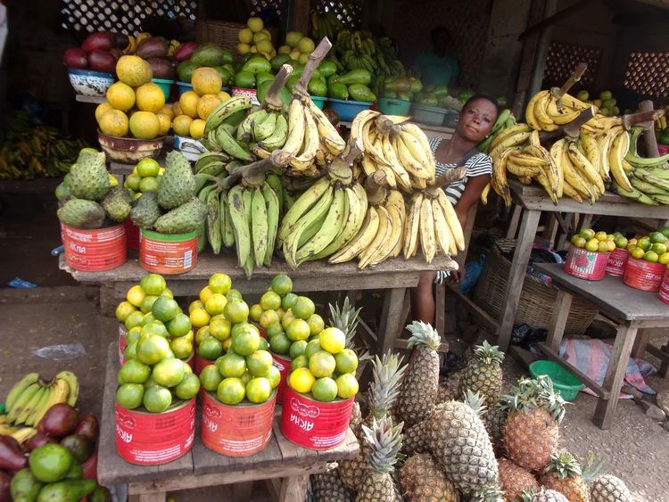 LES FRUITS 