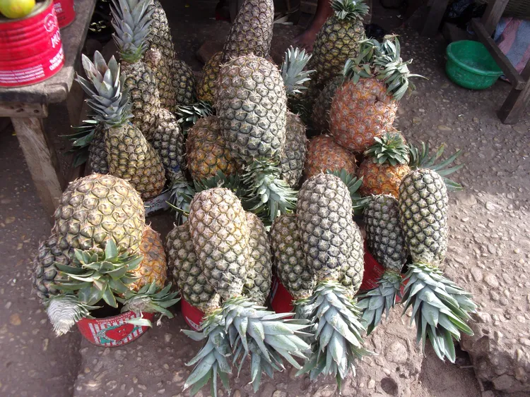 Les fruits 